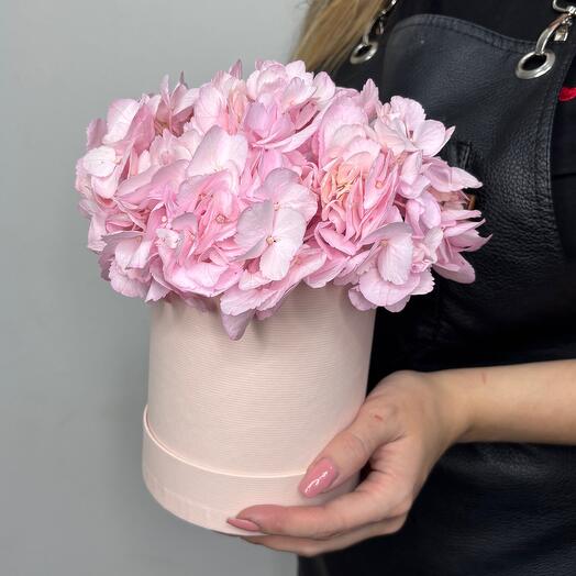 Hortensia rosa en una Caja de sombrero