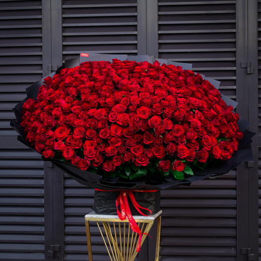 301 Red Premium Roses