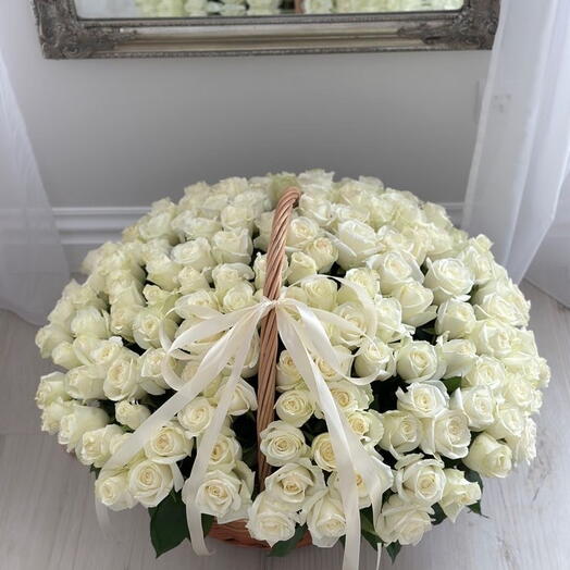 101 Roses Blanches