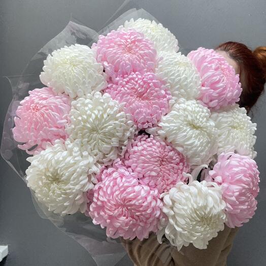Хризантема зефирная 😍15 шт