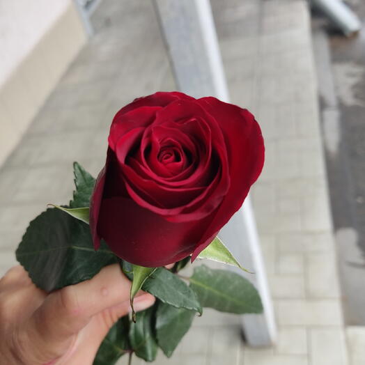 ЦветОк