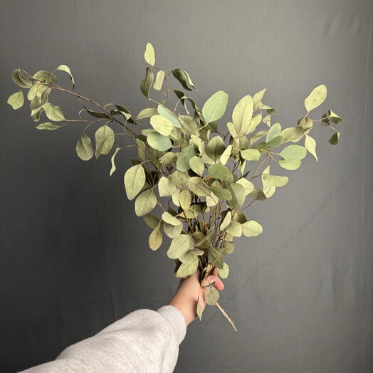 EFlowers