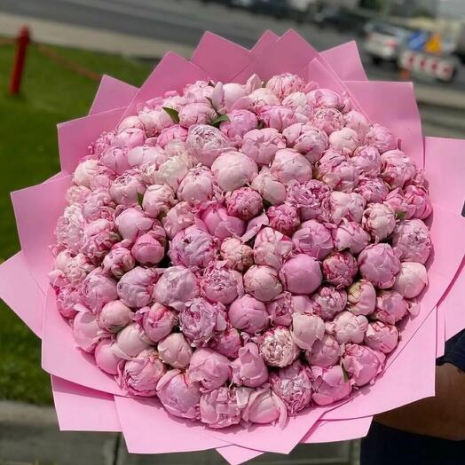 101 peonies