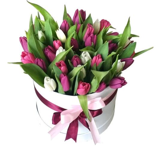 40 Tulips Box Arrangment