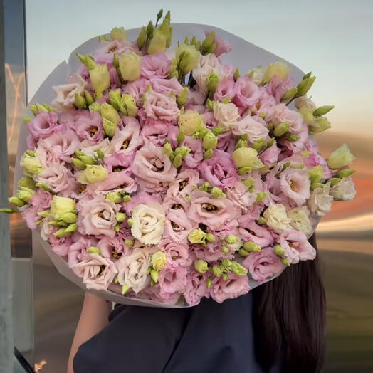 Pink eustoma