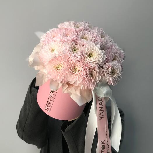 Хризантемы в шляпной коробке🌸