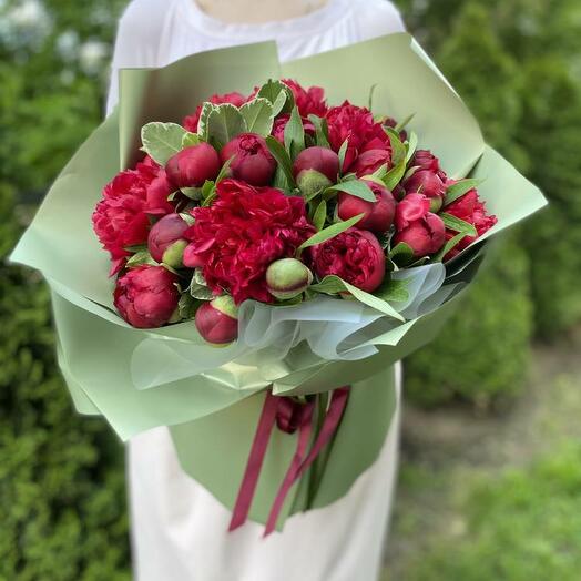 Bouquet of 31 burgundy peonies