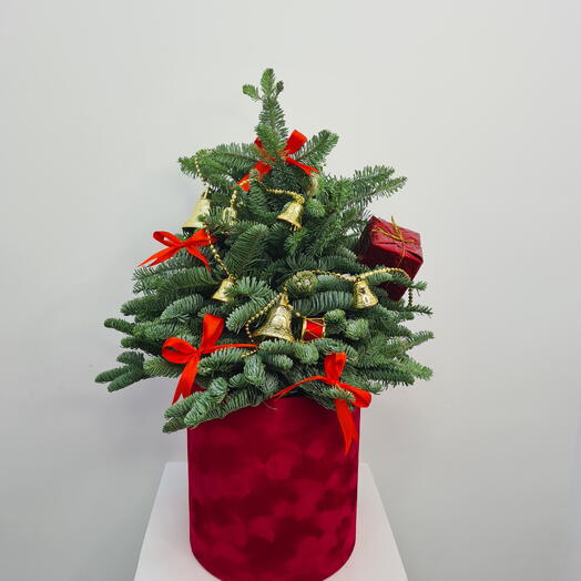 Mini Christmas Tree Box Arrangement