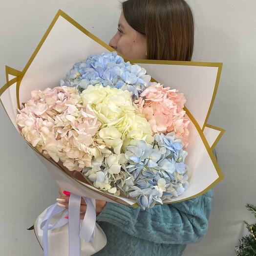 5 микс гортензий