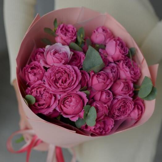 MISTY BUBBLES bazsarózsa rózsa S