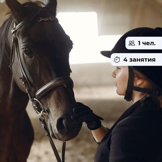 Мастерство всадника.  Курс верховой езды