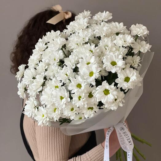 Букет из кустовых хризантем "Кеннеди", 9 шт