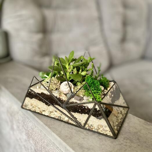 Флорариум «Горы средние» подарок коллеге