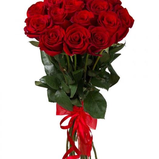 Телопея зелень. Санкт-петербург город трех революций. Розы фон. Красные розы картинки. Красные розы фото.