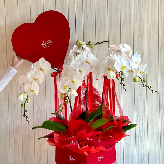 Luxury orchids in red velvet box with chocolates and candle