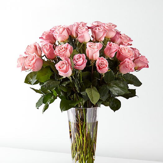 Pink rose in vase