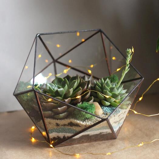 Florarium Księżyc