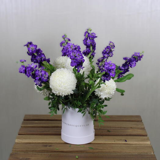 Blue Matthiola Box