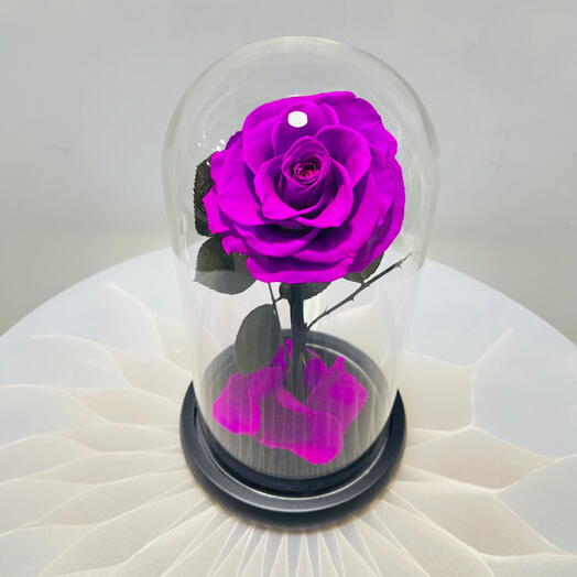 Infinity Purple Rose in Glass Dome – A Unique Valentine s Gift