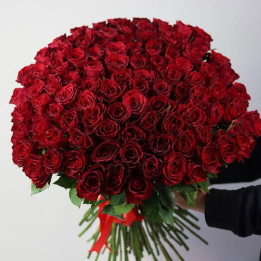 Red Bomb Roses