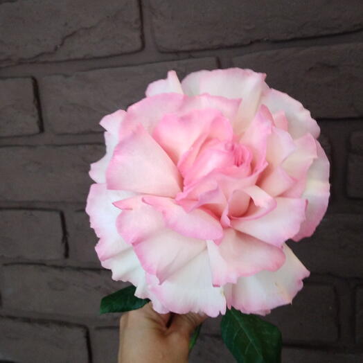 Flowers Charm