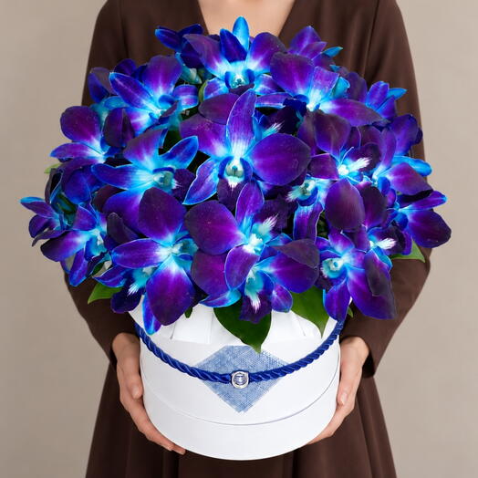 Bloomona