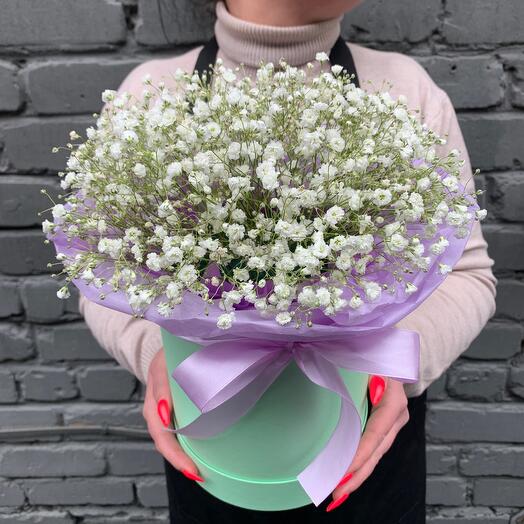 Gypsophila Box