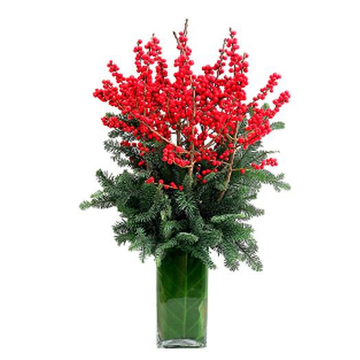 CHRISTMAS ILEX VASE