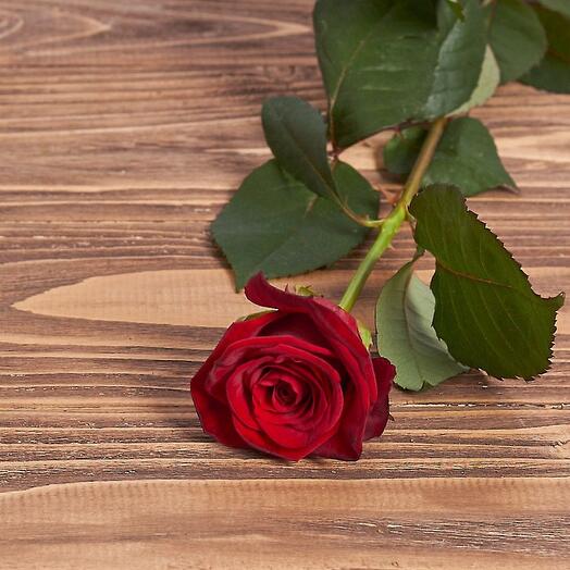 Art-Flower