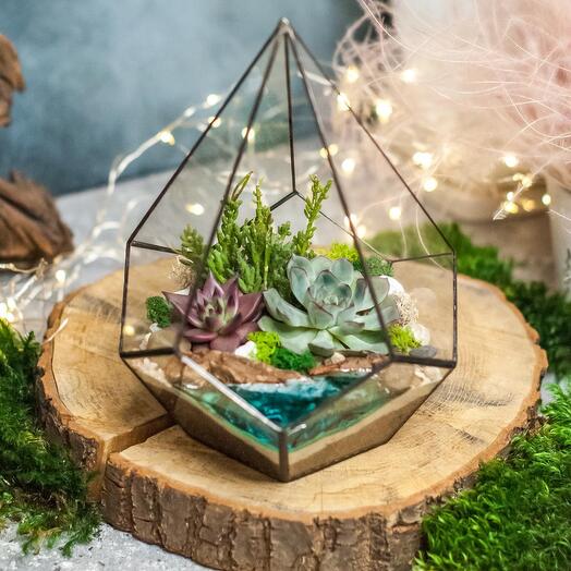 Drop M with succulents and lake - 154