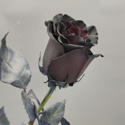 SharikFlowers
