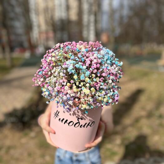 Гипсофила в Коробке Люблю