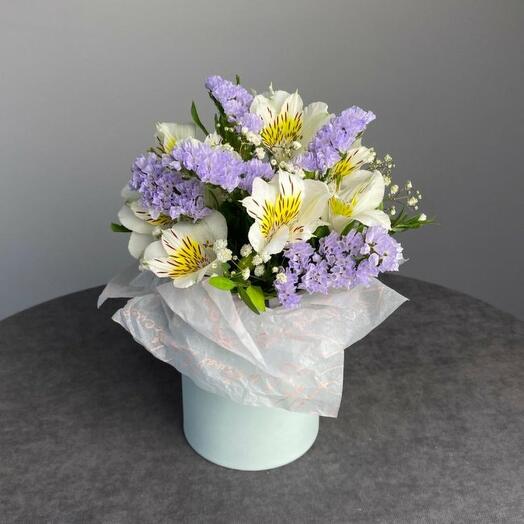 "Ray of heat" of alstroemeria and static