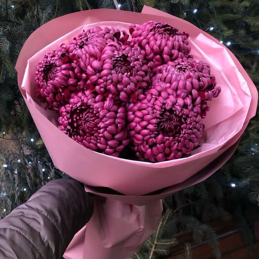 Букет из фиолетовых хризантем бигуди