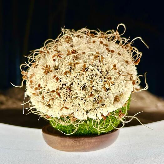 A ball of stabilized moss and dried flowers on a stand