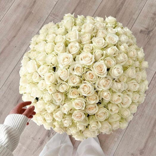 White 101 roses