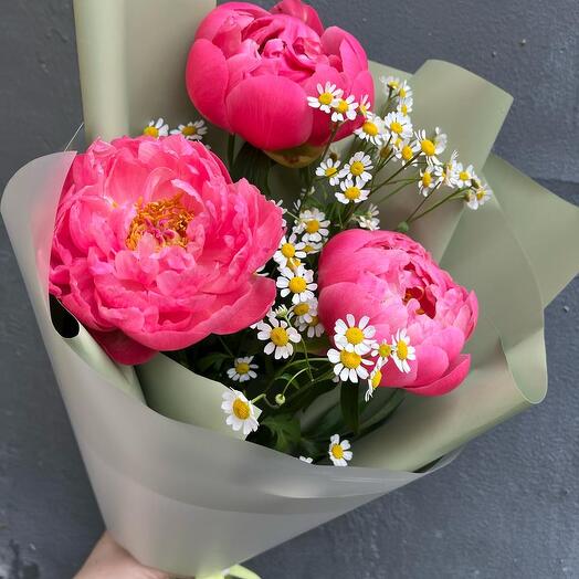 Коралловые пионы с ромашкой