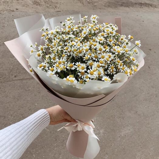 Нежный букет кустовых ромашек
