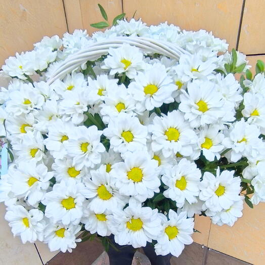 Aroma-Nika