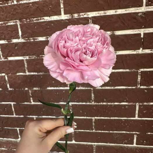 Flowers for you