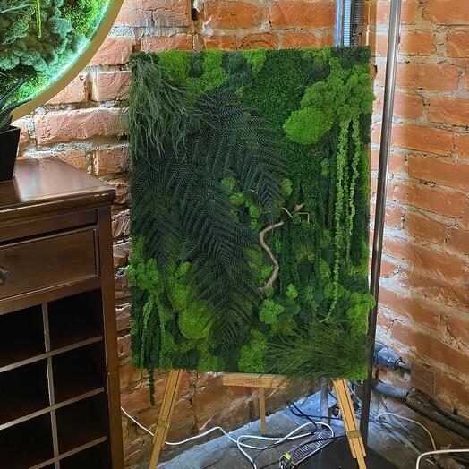 Панно "Jungle Dark"  из мха и растений в подарочной упаковке, 50*70 см