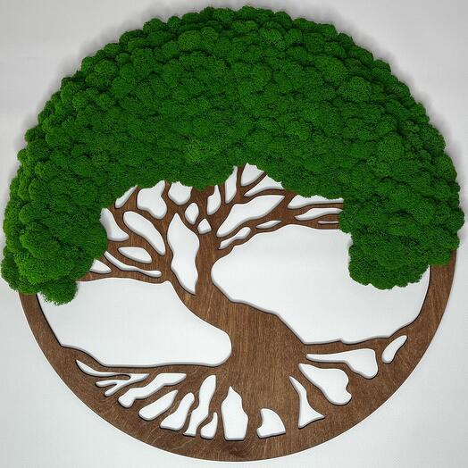 Interior wall panel - gift, decor, stabilized moss