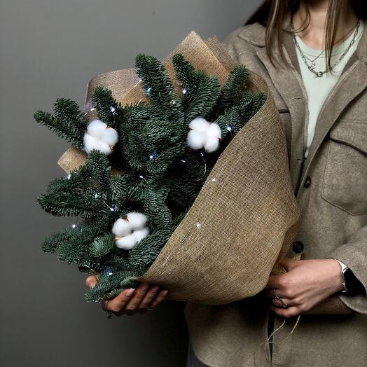 Нобилис с хлопком в мешковине