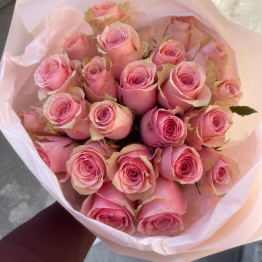 Roses pink 19 stems