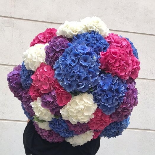 Bouquet de hortensias XXL