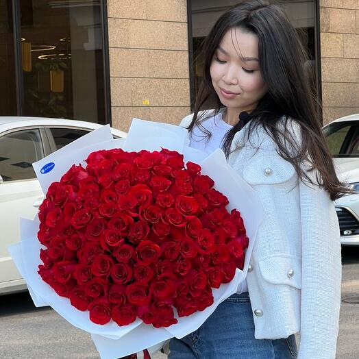 101 красная Голландская Роза 50 см