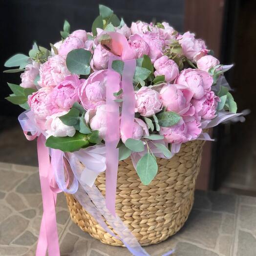 55 pink peonies in basket