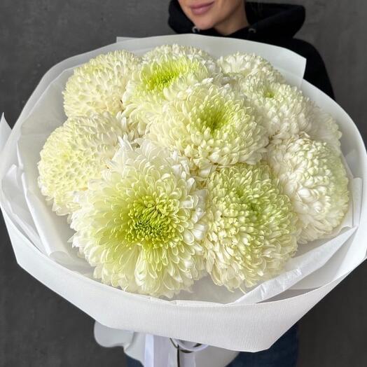 Bouquet of white chrysanthemums 11 pieces