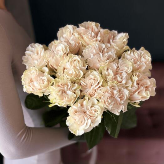 15 Пионовидная роза Коттон экспрешн