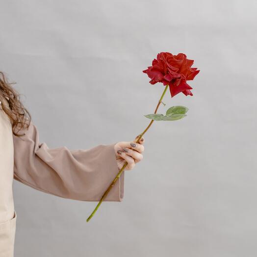 Lace red rose, from 5 pieces